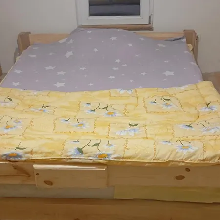 Vila Bijeli Put *
